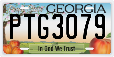 GA license plate PTG3079