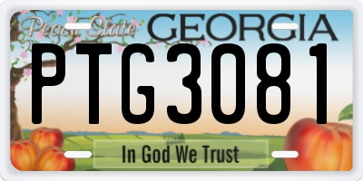 GA license plate PTG3081