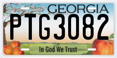 GA license plate PTG3082