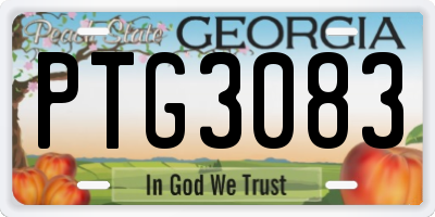 GA license plate PTG3083