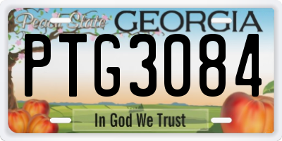 GA license plate PTG3084