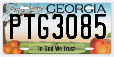 GA license plate PTG3085