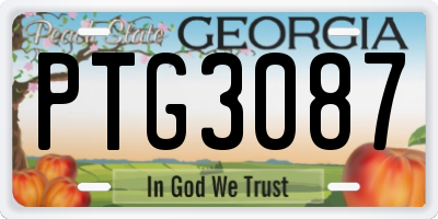 GA license plate PTG3087