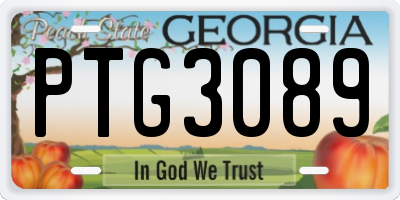 GA license plate PTG3089