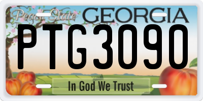 GA license plate PTG3090
