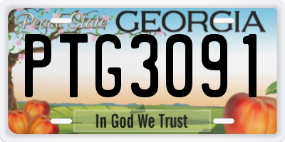 GA license plate PTG3091