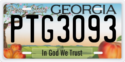 GA license plate PTG3093