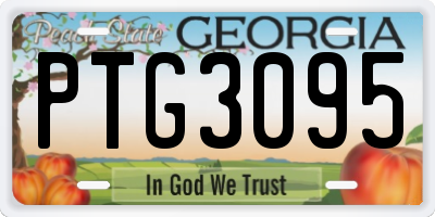 GA license plate PTG3095