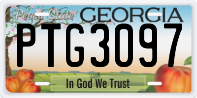 GA license plate PTG3097