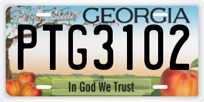 GA license plate PTG3102