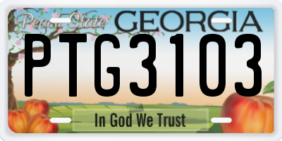 GA license plate PTG3103