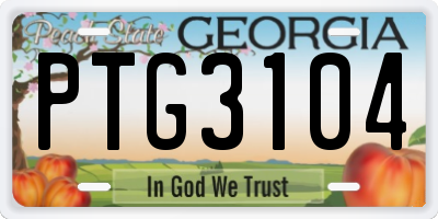 GA license plate PTG3104