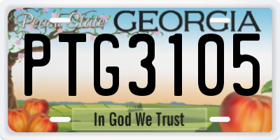 GA license plate PTG3105