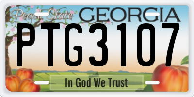 GA license plate PTG3107