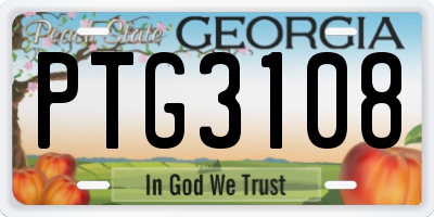 GA license plate PTG3108