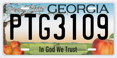 GA license plate PTG3109