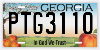 GA license plate PTG3110
