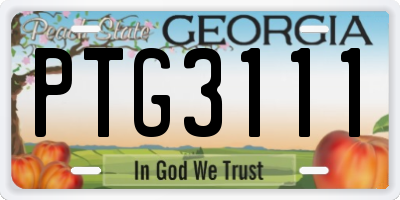 GA license plate PTG3111