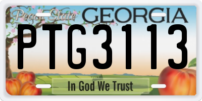 GA license plate PTG3113