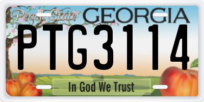 GA license plate PTG3114