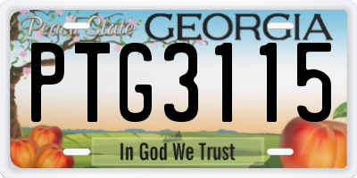 GA license plate PTG3115