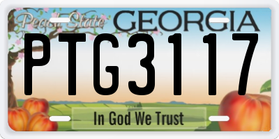 GA license plate PTG3117