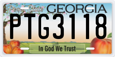 GA license plate PTG3118