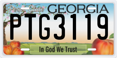 GA license plate PTG3119
