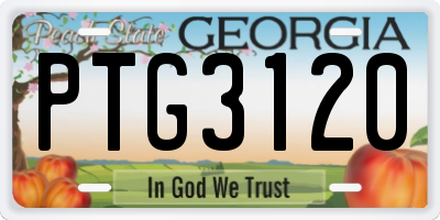 GA license plate PTG3120