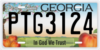 GA license plate PTG3124