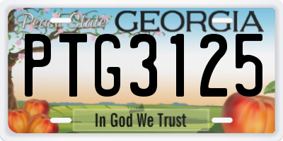 GA license plate PTG3125