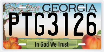 GA license plate PTG3126