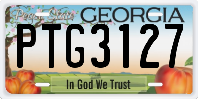 GA license plate PTG3127