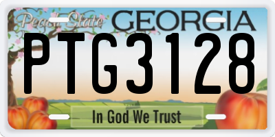 GA license plate PTG3128