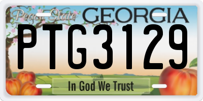 GA license plate PTG3129