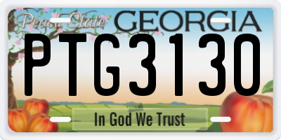 GA license plate PTG3130