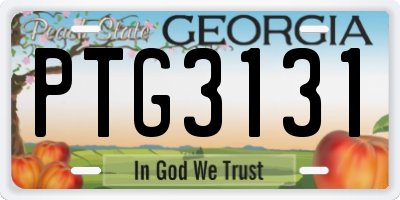 GA license plate PTG3131