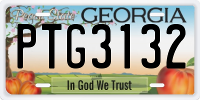 GA license plate PTG3132