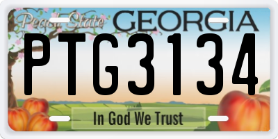 GA license plate PTG3134