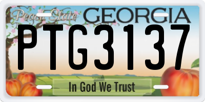 GA license plate PTG3137