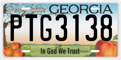 GA license plate PTG3138