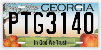 GA license plate PTG3140