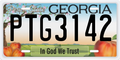 GA license plate PTG3142