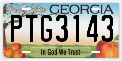 GA license plate PTG3143