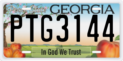 GA license plate PTG3144