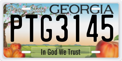 GA license plate PTG3145