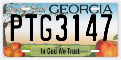 GA license plate PTG3147