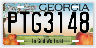 GA license plate PTG3148