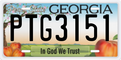 GA license plate PTG3151