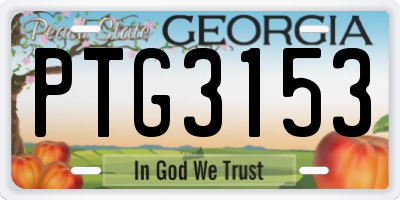 GA license plate PTG3153